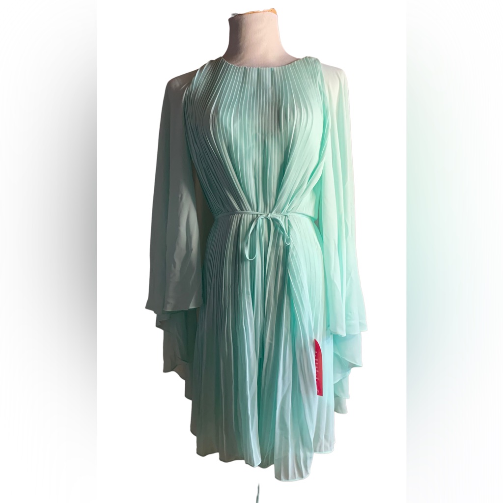 Alex Marie Mint Green Pleated Mid Length Dress Size 6 Nwt